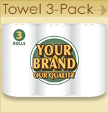 Paper Towel - 3 pack